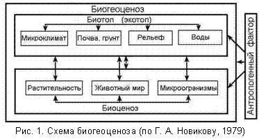 http://www.botsad.ru/papers/m01.gif